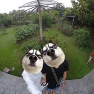 จันกะผัก