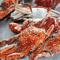 เมนูของร้าน โอ้โห ปูอร่อย ชุมชนประมงบ้านแหลมผักเบี้ย