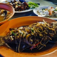 Wonderland Food Store