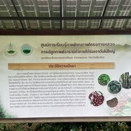 โครงการหลวงตีนตก