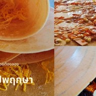 เครป พฤกษา เครปพฤกษา