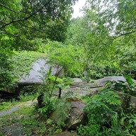 ผาน้ำลอด