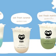 OWL CHA สาขา The Paseo กาญจนาภิเษก