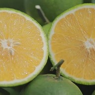 Homemade Steak Homemade House