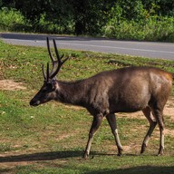 17 Degree เขาใหญ่