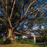 17 Degree เขาใหญ่