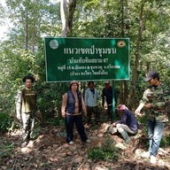 บรรยากาศ ป่าชุมชนทับทิมสยาม 07
