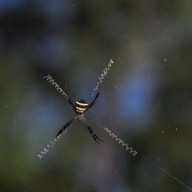 17 Degree เขาใหญ่