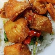 ข้าวกล่อง ฮาลาล ( KHAO-KLONG halal )