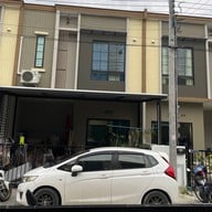 กระเพรา ล้วนๆ แกงเห็ด