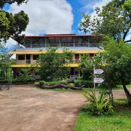 The Branch Cafe X Sandee Art House