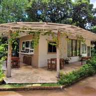 The Branch Cafe X Sandee Art House