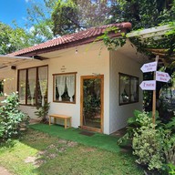 The Branch Cafe X Sandee Art House