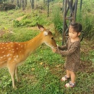 ภักดี ฟาร์ม