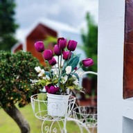 My Dear Coffee Hua Hin Huahin