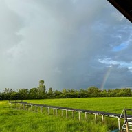 พิซซ่า เตาฟืน  ไร่ศรีทองสุข หนองกี่ บุรีรัมย์