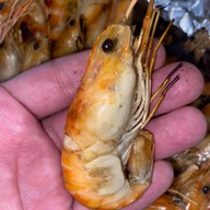 ปังปอนด์กุ้งเผา