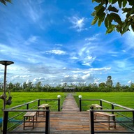 พิซซ่า เตาฟืน  ไร่ศรีทองสุข หนองกี่ บุรีรัมย์