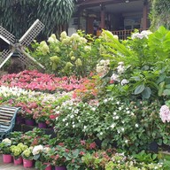 บรรยากาศ กาแล