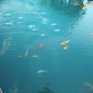 ครัวนางฟ้า อาหารไทยอิสาน