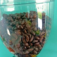 8up5House cafe'&cafe' บ้านไร่ บ้านจั่น