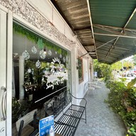 แสงอาทิตย์