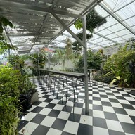 แสงอาทิตย์