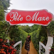 Pete Maze