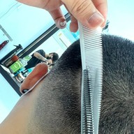 Arlouiscut