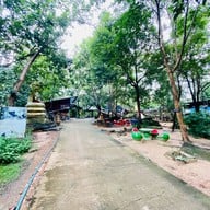วัดถ้ำวังผาพญานาคราช