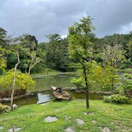 Rabbit Hole @ Phuket