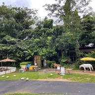 Rabbit Hole @ Phuket