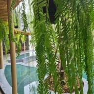 บรรยากาศ On The River Cafe’