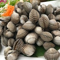 พาขวัญปูไข่จอมทอง