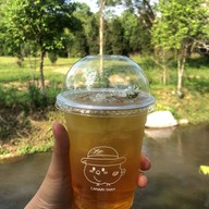 Canary Natural Resort