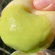 เป็ดหกตัวคาเฟ่ ขนม โดนัท กาแฟ อาหารจานเดียว Nakhon pathom