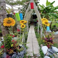 ครัวอ.โอ่งปากพนัง