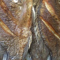 อ้อย อีสานบ้านเฮา