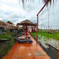 บรรยากาศ ท้องนาคาเฟ่ บางใหญ่