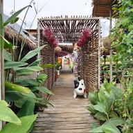 บรรยากาศ ท้องนาคาเฟ่ บางใหญ่