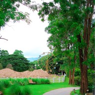 The Scenery Vintage Farm And Resort