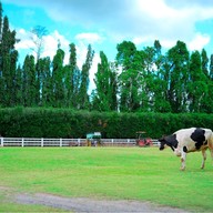 The Scenery Vintage Farm And Resort