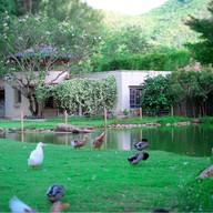 The Scenery Vintage Farm And Resort