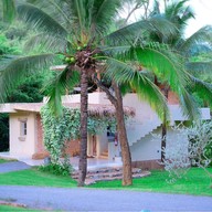 The Scenery Vintage Farm And Resort