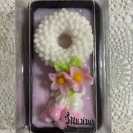 วุ้นแม่มด