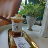 Schizzi Cafe