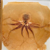 เมนูของร้าน Mille Mille ตลาดปลาบางแสน