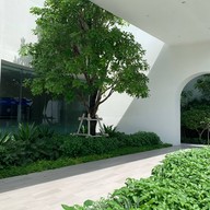 DROP BY DOUGH Central Eastville