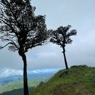 ดอยจิกจ้อง