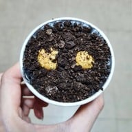 เมนูของร้าน Unmelted.Needs Gelato - Ensoul Cafe พัฒนาการ 30 Ensoul Cafe - พัฒนาการ 30